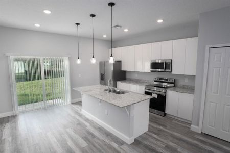 New construction Single-Family house 13679 102nd Place, Dunnellon, FL 34432 - photo