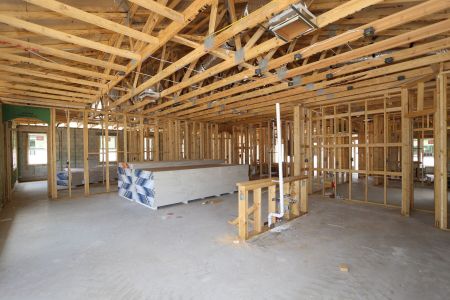 New construction Single-Family house 2473 Clary Sage Drive, Spring Hill, FL 34609 Corina II- photo 32 32