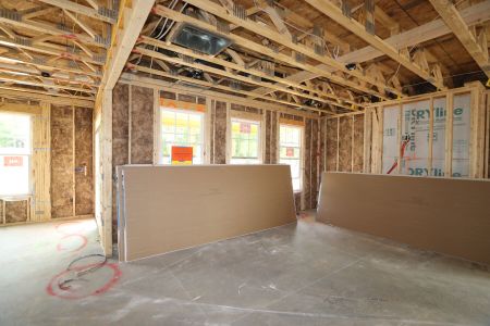 New construction Single-Family house 3110 Armeria Drive, Apex, NC 27502 Brittain - Signature Collection- photo 16 16