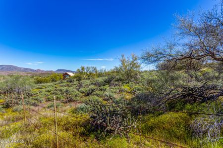 New construction Single-Family house 492XX N 15Th Avenue, New River, AZ 85087 - photo 20 20