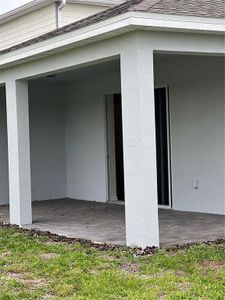 New construction Single-Family house 17323 Million Lakes Court, Clermont, FL 34714 - photo 13 13