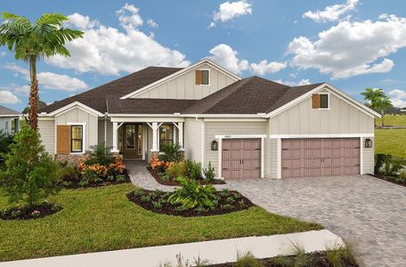 New construction Single-Family house 13427 Old Creek Court, Parrish, FL 34219 - photo 0