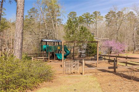 New construction Single-Family house 975 Blalock Lakes Drive, Newnan, GA 30263 - photo 100 100