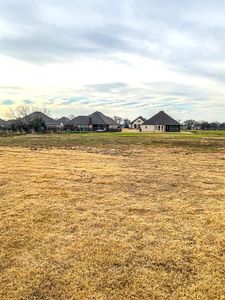 New construction Single-Family house 6020 Glenwood Drive, Joshua, TX 76058 Fairview SE- photo 15