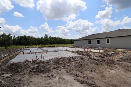 New construction Single-Family house 10652 New Morning Drive, Tampa, FL 33647 Corina  III Bonus- photo 1 1