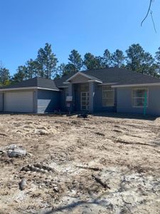New construction Single-Family house 8470 Sw 128Th Loop, Ocala, FL 34473 - photo 3 3