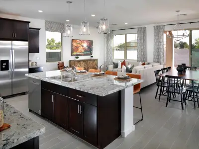 New construction Single-Family house 4295 W Janie Street, San Tan Valley, AZ 85144 Leslie- photo 3 3