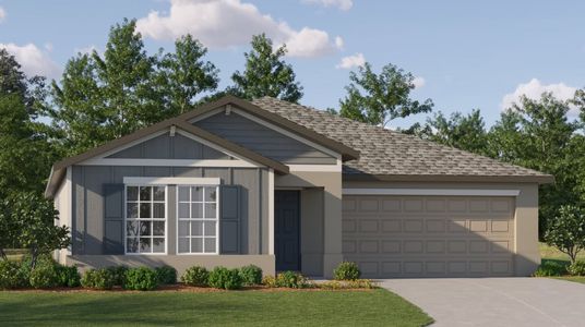 New construction Single-Family house 12608 Timber Moss Ln, Riverview, FL 33579 Dover- photo 0