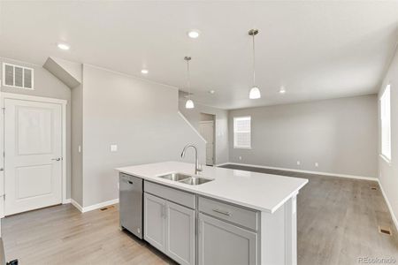 New construction Single-Family house 1832 Knobby Pine Drive, Fort Collins, CO 80528 Elm - photo 19 19