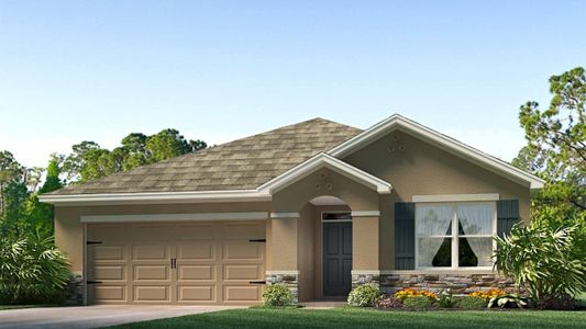 New construction Single-Family house Broad River Avenue, Land O' Lakes, FL 34638 - photo 15 15