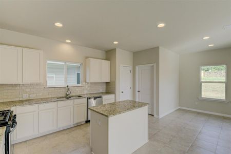 New construction Single-Family house 707 Stampede Road, San Marcos, TX 78666 - photo 16 16