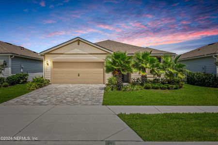 New construction Single-Family house 11139 Town View Court, Jacksonville, FL 32256 - photo 0