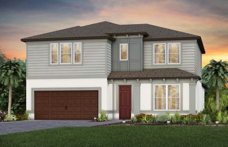 New construction Single-Family house Cypress Bend Drive, Wesley Chapel, FL 33545 - photo 0