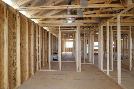 New construction Single-Family house 31810 Sapna Chime Drive, Wesley Chapel, FL 33545 Mira Lago- photo 29 29