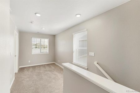 New construction Single-Family house 18038 Dandy Brush Lane, Parker, CO 80134 CABRAL- photo 18 18