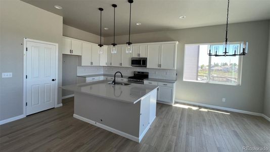 New construction Single-Family house 16867 Mckay Drive, Mead, CO 80542 - photo 5 5