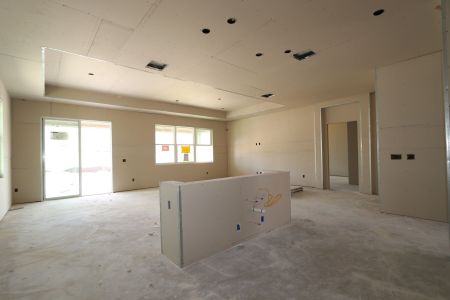 New construction Single-Family house 31835 Sapna Chime Drive, Wesley Chapel, FL 33545 Salinas- photo 51 51