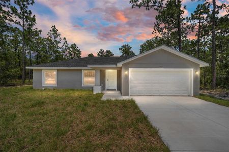 New construction Single-Family house 410 Redwood Drive, Dunnellon, FL 34431 - photo 0