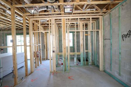 New construction Single-Family house 2522 Sunny Pebble Loop, Zephyrhills, FL 33540 Mira Lago- photo 66 66