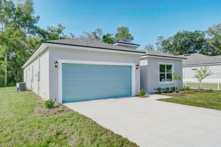 New construction Single-Family house 8578 Southeast 164th Place, Summerfield, FL 34491 - photo