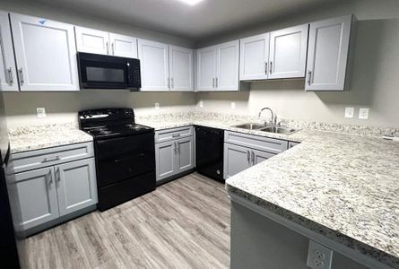 Beautiful kitchen, all new! Appliances and refrigerator included