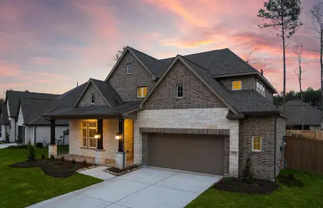 The Highlands 55′ by Ravenna Homes in Porter - photo 6 6