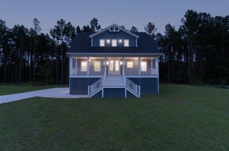 New construction Single-Family house 1329 Wood Sorrel Drive, Moncks Corner, SC 29461 - photo 0