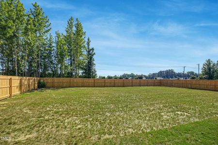 New construction Single-Family house 16 Batten Hill Lane, Selma, NC 27576 - photo 29 29