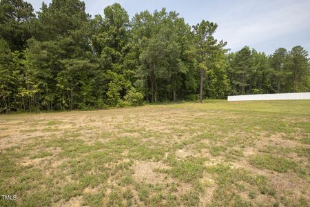 New construction Single-Family house 113 Quail Point Circle, Clayton, NC 27520 Cooper- photo 21 21