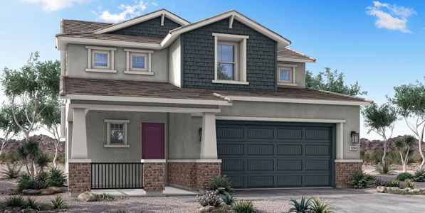 New construction Single-Family house 1001 W. Macaw Court, Queen Creek, AZ 85140 Desert Rose- photo 3 3