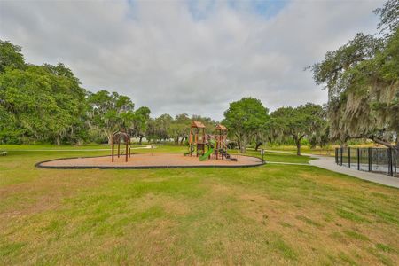 New construction Single-Family house 9018 Rally Spring Loop, Wesley Chapel, FL 33545 - photo 40 40