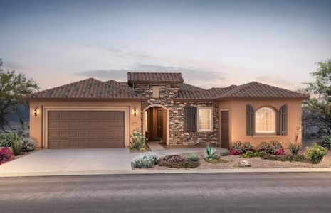 New construction Single-Family house 3855 North Sun City Boulevard, Florence, AZ 85132 - photo 3 3