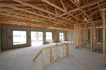 New construction Single-Family house 12153 Hilltop Farms Drive, Dade City, FL 33525 Sentinel- photo 9 9