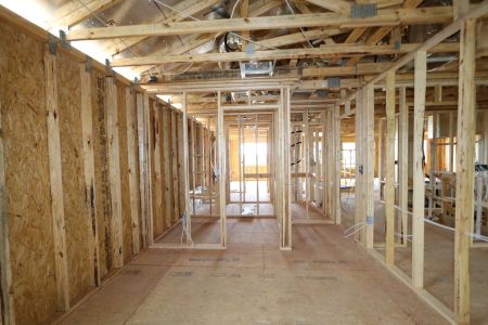 New construction Single-Family house 12078 Hilltop Farms Drive, Dade City, FL 33525 Mira Lago- photo 21 21