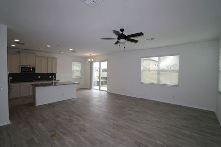 New construction Single-Family house 2501 Sunny Pebble Loop, Zephyrhills, FL 33540 Castellana- photo 11 11