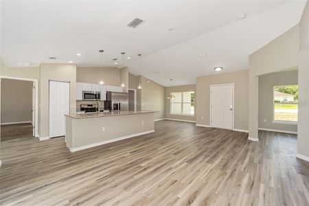 New construction Single-Family house 32 180th Circle, Dunnellon, FL 34432 - photo 4 4