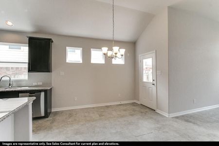 New construction Single-Family house 13719 Nomia Place, San Antonio, TX 78245 - photo 8 8