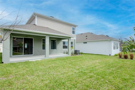 New construction Single-Family house 1479 Gopher Loop, Tarpon Springs, FL 34689 The Welwood- photo 41 41