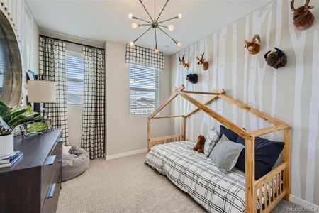 New construction Townhouse house 9695 Browns Peak Circle, Littleton, CO 80125 Panorama- photo 22 22