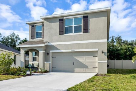 New construction Single-Family house 17022 Oval Rum Drive, Wimauma, FL 33598 - photo 47 47