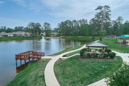 Lakes at Black Oak by Rausch Coleman Homes in Magnolia - photo 3 3