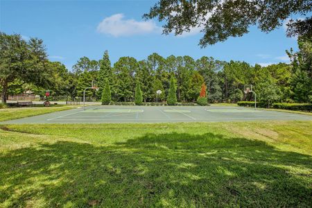 New construction Single-Family house 7187 Heron Walk Lane, Wesley Chapel, FL 33545 - photo 53 53