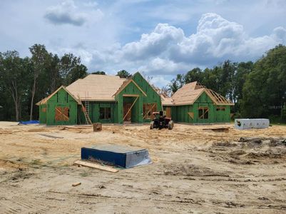 New construction Single-Family house 10961 Sw 32Nd Road, Gainesville, FL 32608 - photo 2 2