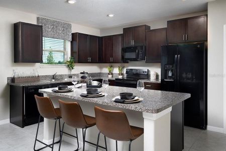 New construction Single-Family house 3637 Capital Reserve Drive, Plant City, FL 33565 Providence- photo 4 4