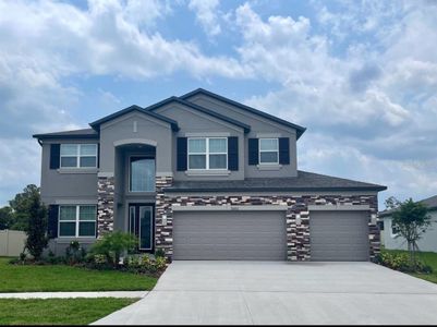 New construction Single-Family house 18892 Diego Circle, Spring Hill, FL 34610 - photo 0