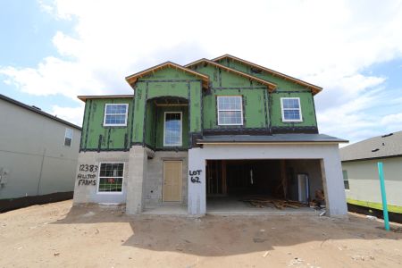 New construction Single-Family house 12383 Hilltop Farms Drive, Dade City, FL 33525 Malibu- photo 46 46