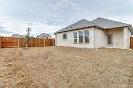 New construction Single-Family house 1213 Lavinola Lane, Anna, TX 75409 - photo 23 23