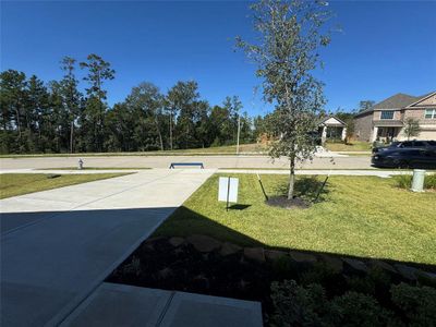 There are no neighbors across the street and it's full of green space and trees.