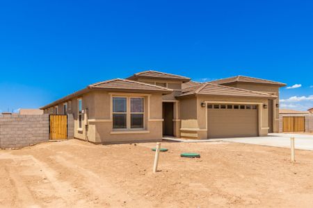 New construction Single-Family house McKinley, 29317 North 223rd Avenue, Wittmann, AZ 85361 - photo