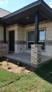 New construction Single-Family house 305 Titus Drive, Springtown, TX 76082 - photo 29 29